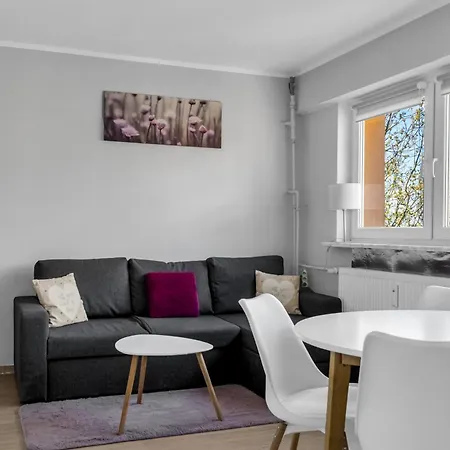 Apartment Daylight Serenity